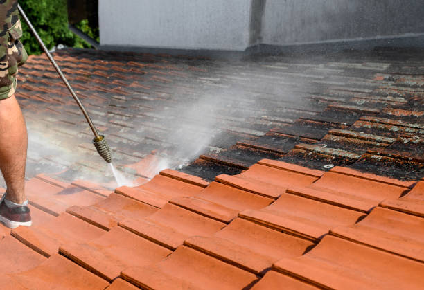 Local Pressure Washing Services in Kingsland, GA